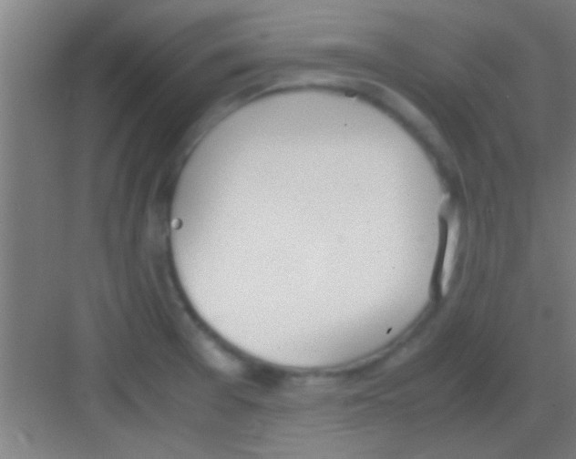 X0000081291377200702082007