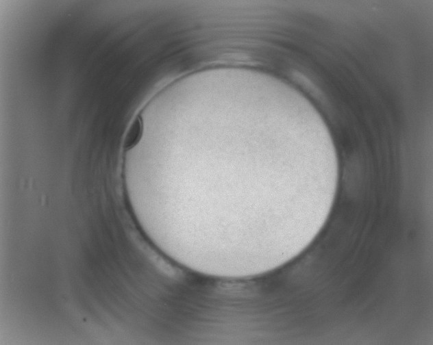 X0000081291378200702082007