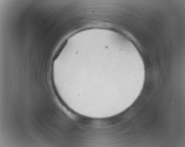 X0000081291379200702082007