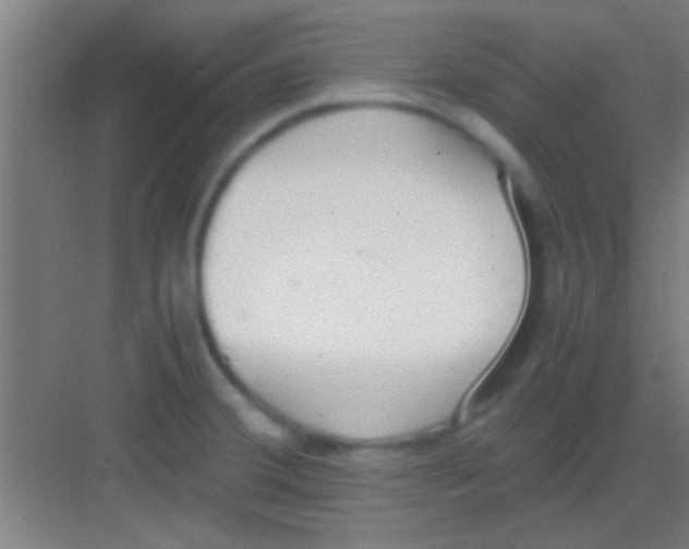 X0000081291380200702082007