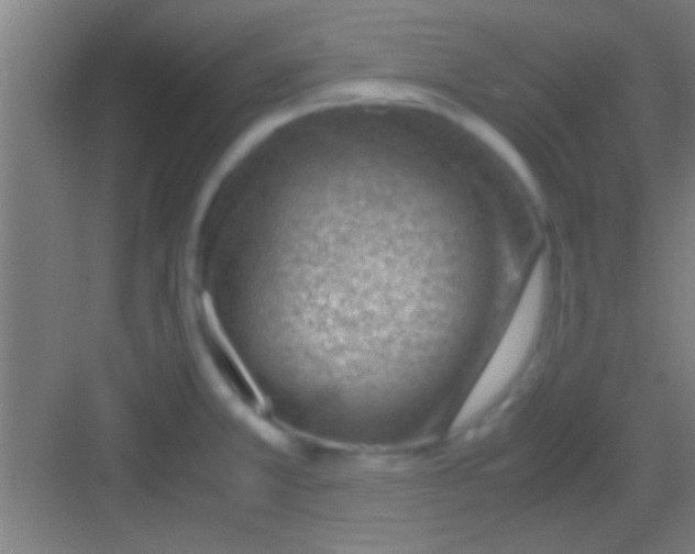 X0000081291381200702082007