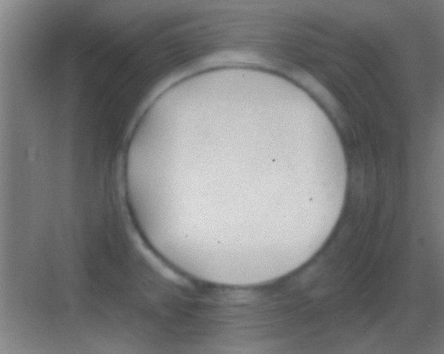 X0000081291382200702082007