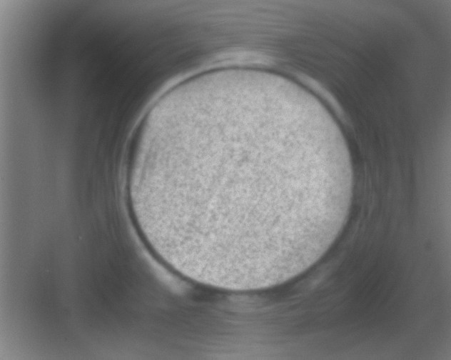 X0000081291383200702082007