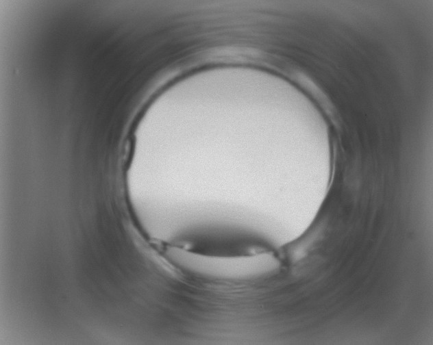 X0000081291384200702082007