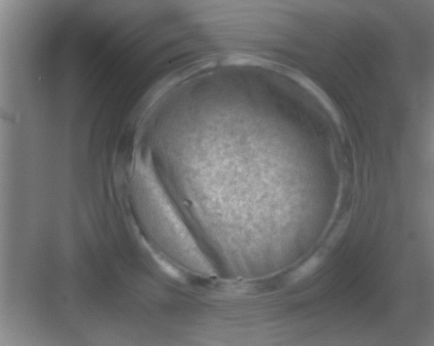 X0000081291385200702082007