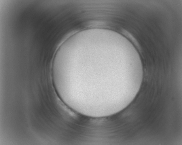 X0000081291386200702082007