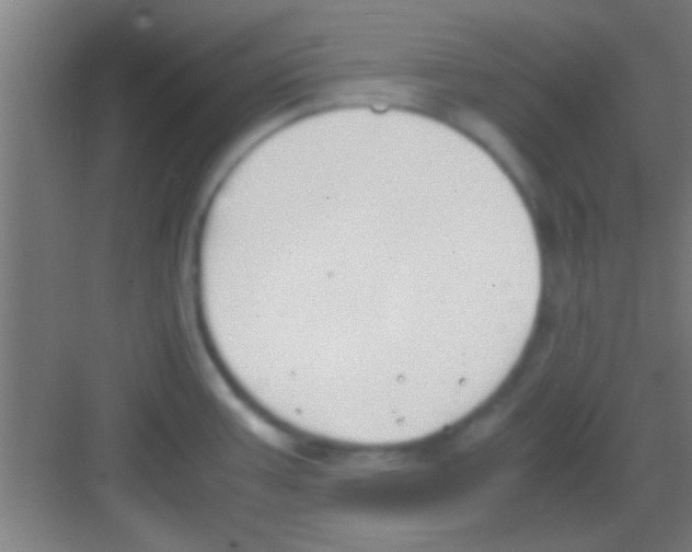 X0000081291387200702082007