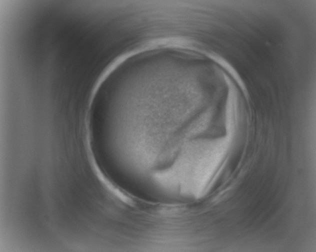 X0000081291389200702082007