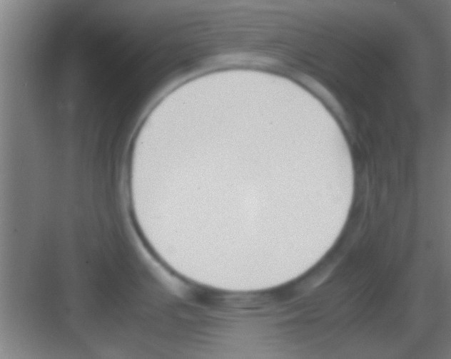 X0000081291391200702082007