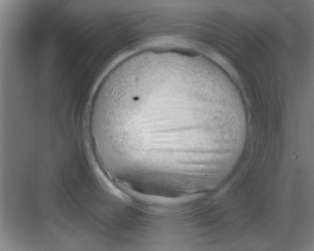 X0000081291392200702082007