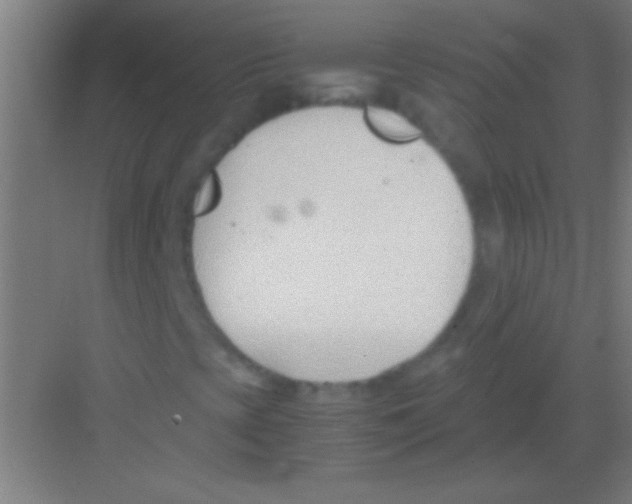 X0000081291393200702082006