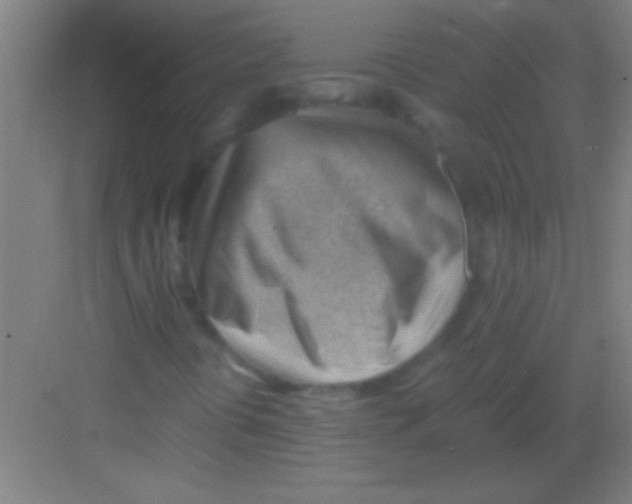 X0000081291394200702082006