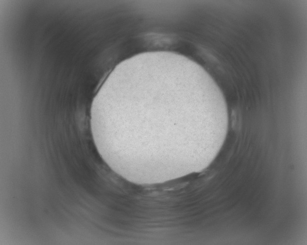 X0000081291395200702082006