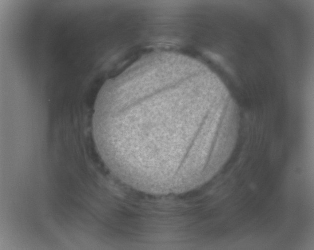 X0000081291399200702082006