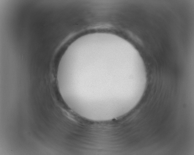 X0000081291400200702082006