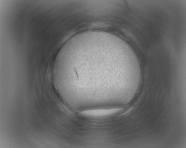 X0000081291401200702082006