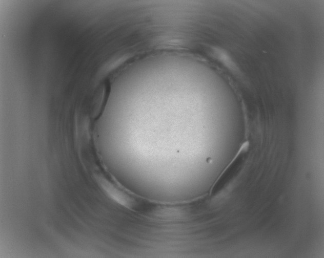 X0000081291402200702082006