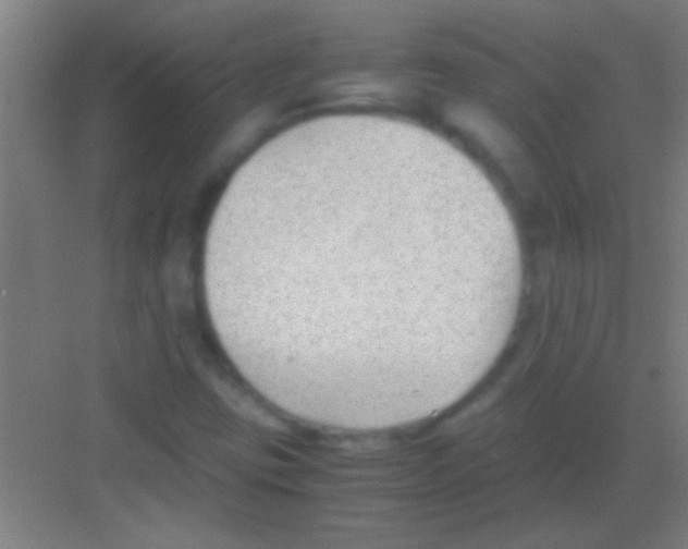 X0000081291403200702082006