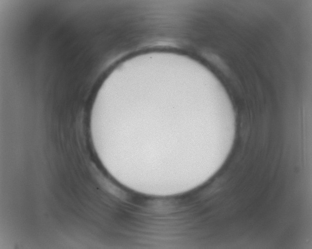 X0000081291404200702082006