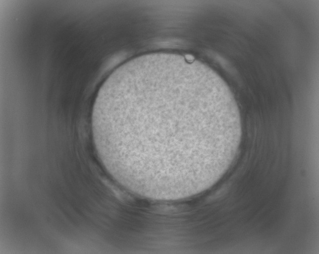 X0000081291405200702082006