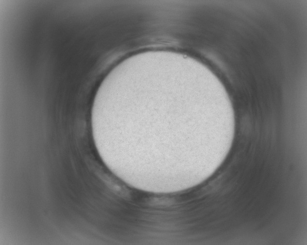 X0000081291407200702082006