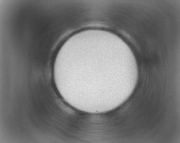 X0000081291408200702082007