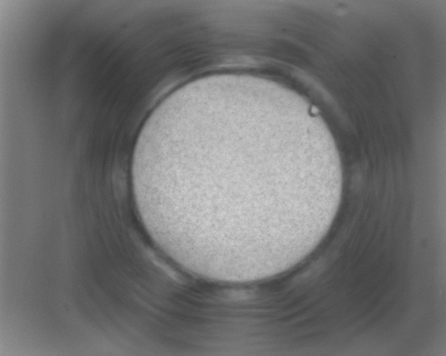 X0000081291409200702082007