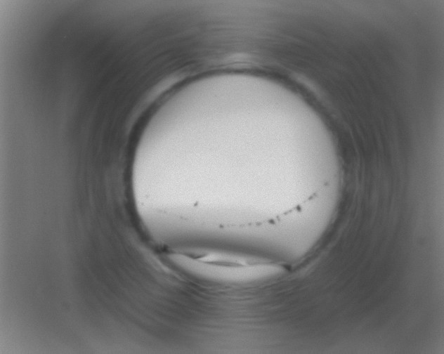 X0000081291410200702082007