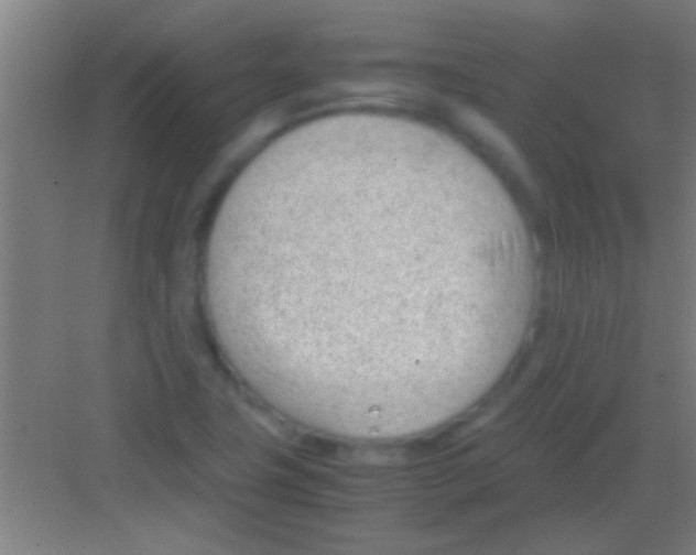 X0000081291411200702082007