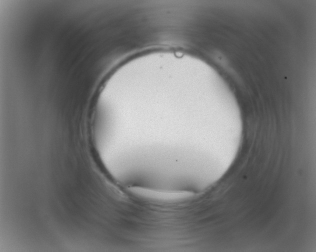 X0000081291412200702082007