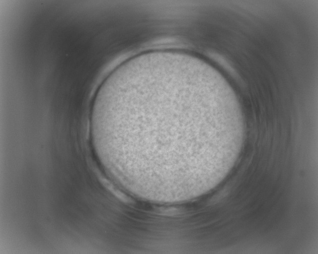 X0000081291413200702082007