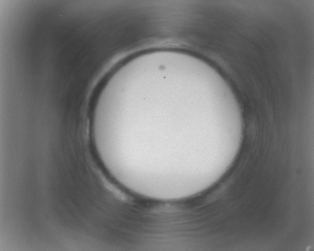 X0000081291414200702082007