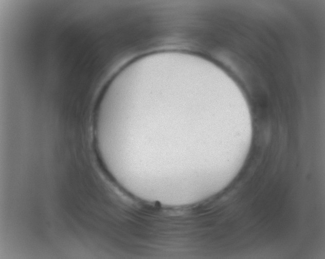 X0000081291415200702082007