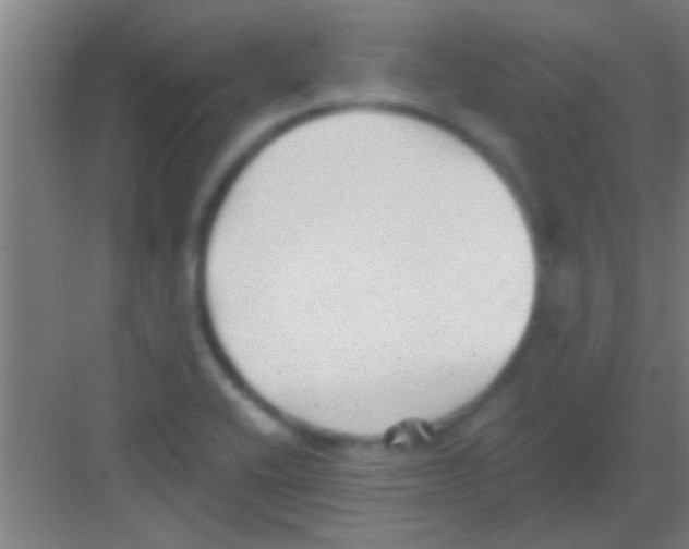 X0000081291416200702082007