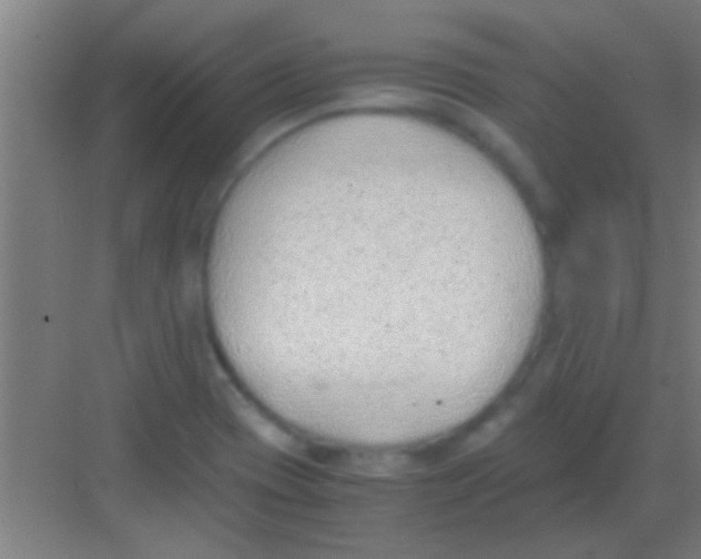 X0000081291417200702082007