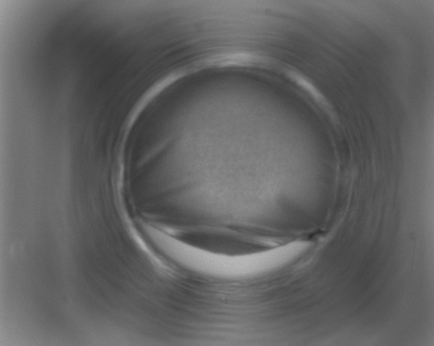 X0000081291418200702082007