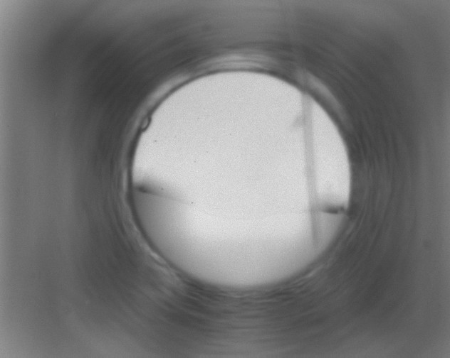 X0000081291419200702082007