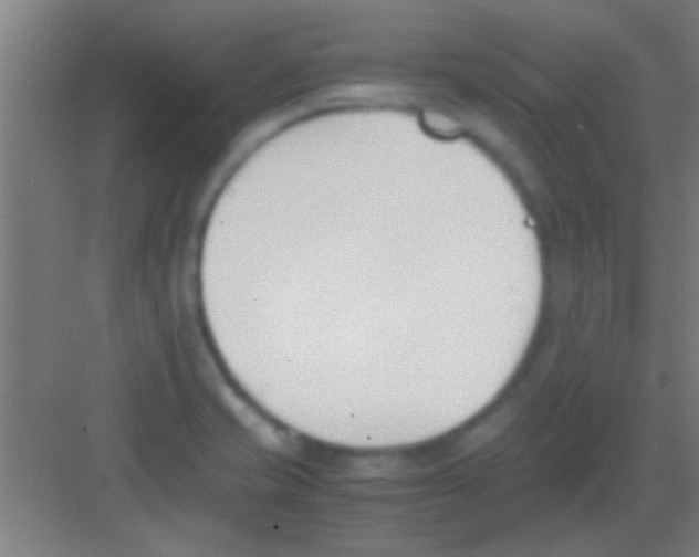 X0000081291421200702082007