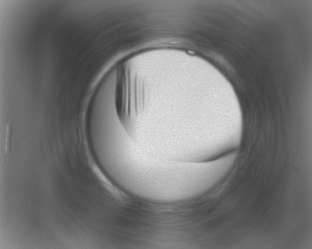 X0000081291422200702082007