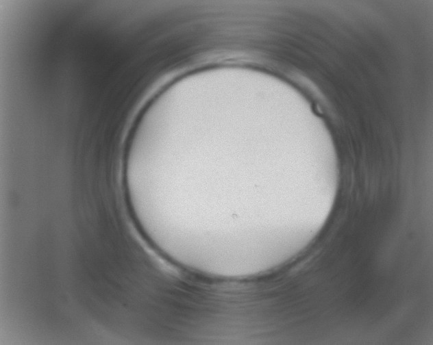 X0000081291424200702082007