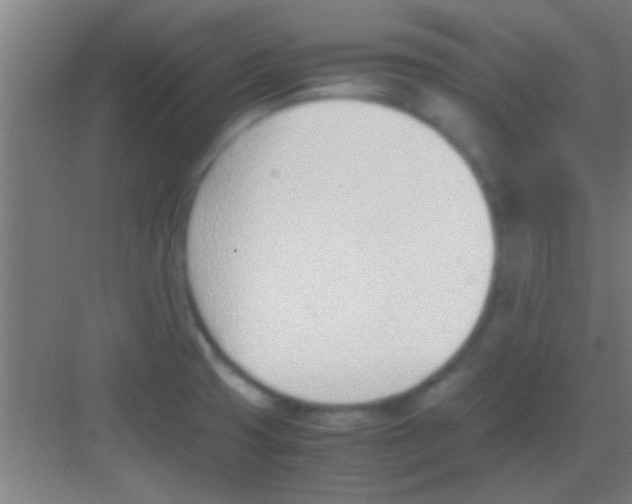 X0000081291425200702082007