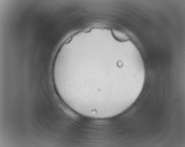 X0000081291427200702082007