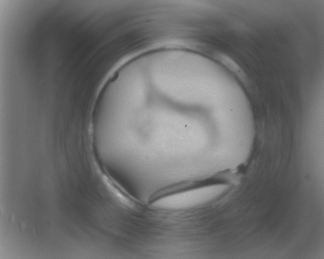 X0000081291428200702082007