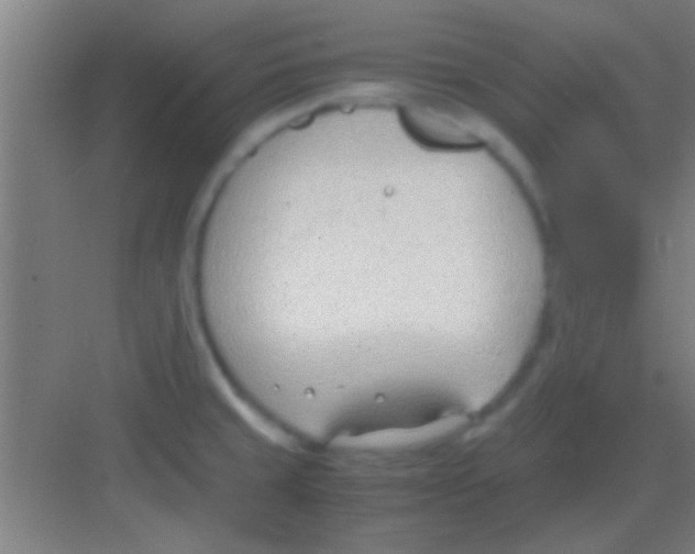 X0000081291429200702082007