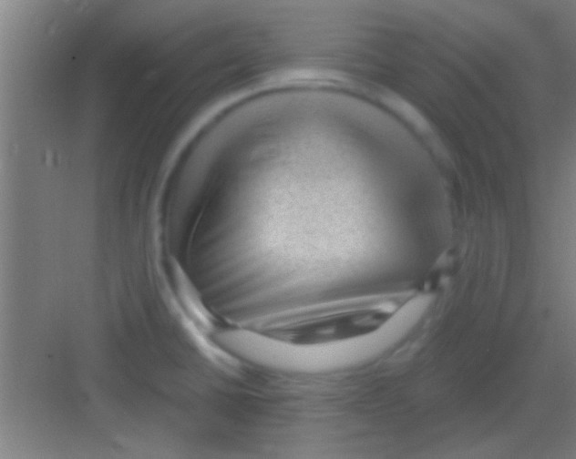 X0000081291430200702082007