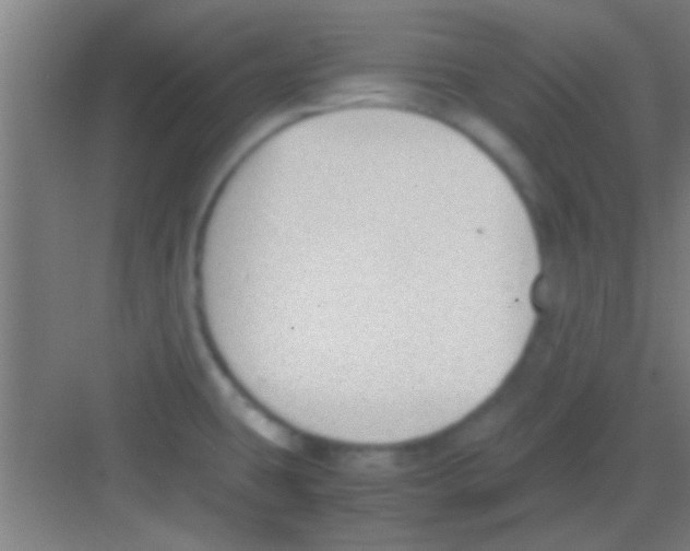 X0000081291431200702082007