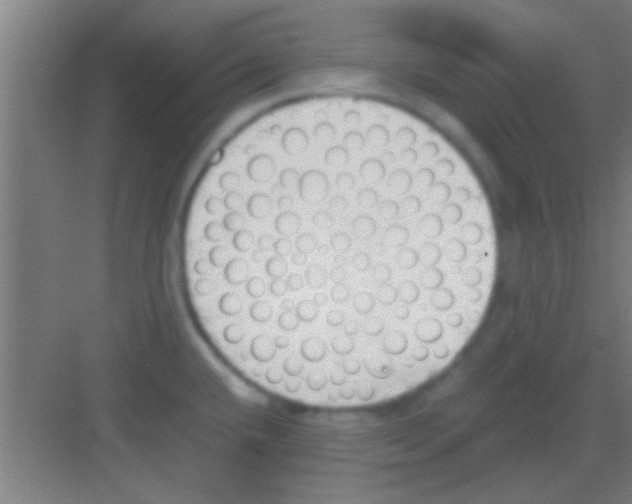 X0000081291432200702082007