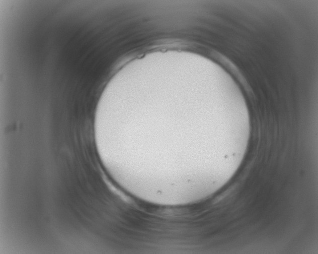 X0000081291433200702082007