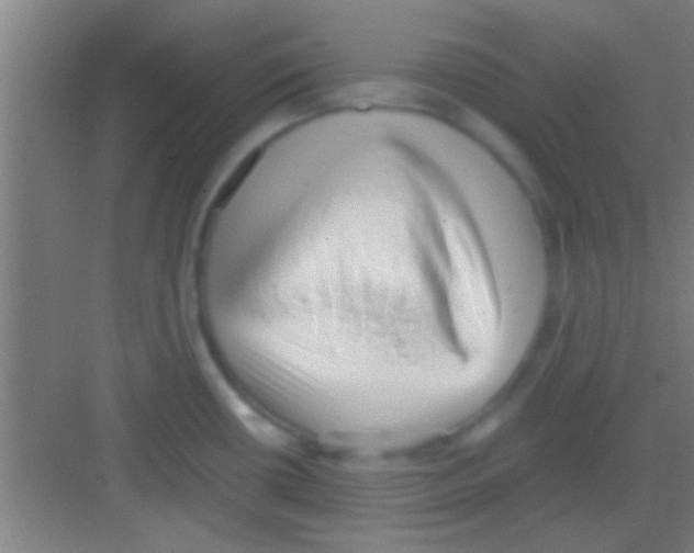 X0000081291434200702082007