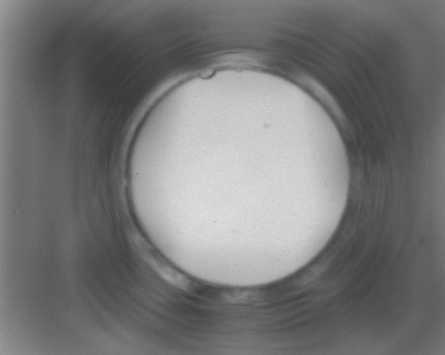 X0000081291435200702082007